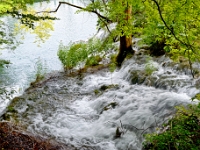 DSC 3040 ji : HRV, Kroatien, Ličko-Senjska, Nationalpark Plitvicer Seen