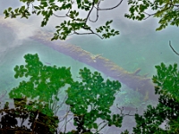 DSC 3047 ji : HRV, Kroatien, Ličko-Senjska, Nationalpark Plitvicer Seen