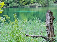 DSC 3052 ji : HRV, Kroatien, Ličko-Senjska, Nationalpark Plitvicer Seen