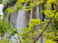 DSC 3081 ji : HRV, Kroatien, Ličko-Senjska, Nationalpark Plitvicer Seen