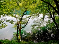 DSC 3118 ji