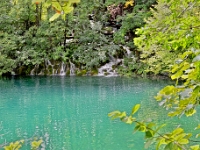 DSC 3171 ji