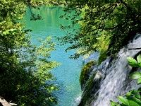 DSC 3245 ji