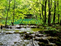 DSC 3321 ji
