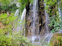DSC 3332 ji