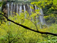 DSC 3352 ji