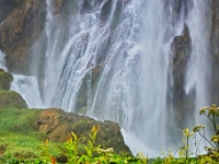 DSC 3375 ji