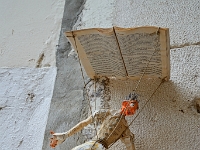 DSC 8722 ji : HRV, Kroatien, Šibenik, Šibensko-Kninska