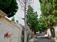 DSC 8844 ji : HRV, Kroatien, Šibenik, Šibensko-Kninska