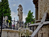 DSC 8863 ji : HRV, Kroatien, Šibenik, Šibensko-Kninska