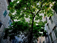 DSC 9011 ji : HRV, Kroatien, Šibenik, Šibensko-Kninska