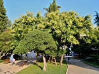 DSC 9058 ji : HRV, Kroatien, Šibenik, Šibensko-Kninska