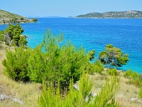DSC 9114 ji : Grebastica > Bilo, HRV, Kroatien, Šibensko-Kninska