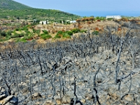 D3X 5365 ji : GRC, Griechenland, Kythira, Araíoi, byz. Kirche Agios Petros
