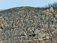 D3X 5366 ji : GRC, Griechenland, Kythira, Araíoi, byz. Kirche Agios Petros