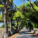 D3X 4216 ji : GRC, Griechenland, Kythira, Dorf Friligkianika, Friligkianika