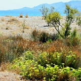D3X 5100 ji : GRC, Griechenland, Kythira, Avlemonas, Straße Palaiopoli-Avlemonas