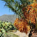 D3X 5200 ji : GRC, Griechenland, Kythira, Avlemonas, Dorf Avlemonas