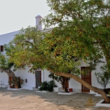 D3X 2969 ji : GRC, Griechenland, Kythira, Moni Agias Monis, nähe Diakofti