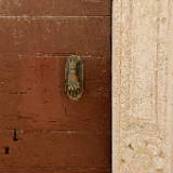 D3X 2141 ji : GRC, Griechenland, Kythira, Kythira Chora