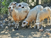 D3X 4763 ji : GRC, Griechenland, Kythira, Mitata, Windmill Resort