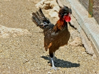 D3X 4802 ji : GRC, Griechenland, Kythira, Mitata, Windmill Resort