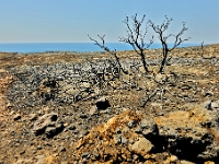 D3X 0709 ji : Feldweg zur Ekklisia Agios Nikolaos > Westküste, GRC, Griechenland, Kythira, Moni Myrtidion