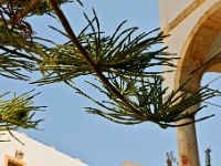 D3X 0633 ji : GRC, Griechenland, Kloster Moni Mirtiridion, Kythira, Moni Myrtidion