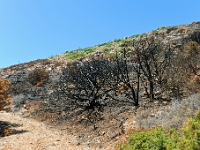 D3X 4546 ji : GRC, Griechenland, Kythira, Fußweg Strand Kalami, Mylopotamos
