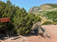 D3X 4555 ji : GRC, Griechenland, Kythira, Fußweg Strand Kalami, Mylopotamos