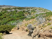 D3X 4556 ji : GRC, Griechenland, Kythira, Fußweg Strand Kalami, Mylopotamos