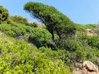 D3X 4623 ji : GRC, Griechenland, Kythira, Fußweg Strand Kalami, Mylopotamos