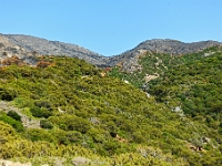 D3X 4624 ji : GRC, Griechenland, Kythira, Fußweg Strand Kalami, Mylopotamos