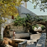 D3X 5430 ji : GRC, Griechenland, Kythira, Cafe Taverne Platanos, Mylopotamos