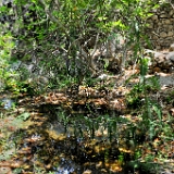 D3X 1095 ji : GRC, Griechenland, Kythira, Mylopotamos, Wanderweg M41 Mylopotamos Wassermühlen