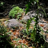 D3X 1141 ji : GRC, Griechenland, Kythira, Mylopotamos, Wanderweg M41 Mylopotamos Wassermühlen