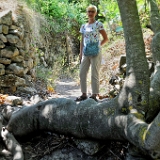 D3X 1145  ji : GRC, Griechenland, Kythira, Mylopotamos, Wanderweg M41 Mylopotamos Wassermühlen