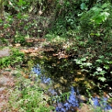 D3X 1149 ji : GRC, Griechenland, Kythira, Mylopotamos, Wanderweg M41 Mylopotamos Wassermühlen