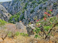 D3X 2709 ji : GRC, Griechenland, Kythira, Festung Paleochora, Paleochora