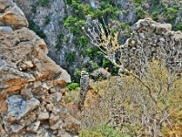 D3X 2716 ji : GRC, Griechenland, Kythira, Festung Paleochora, Paleochora