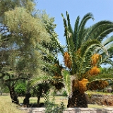 D3X 3333 ji : GRC, Griechenland, Kythira, Paleopoli, Strand Paleopoli Beach / Piatsa Beach