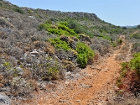 D3X 1783 ji : GRC, Griechenland, Kythira, Feldweg zum Leuchtturm Moudari, Platia Ammos