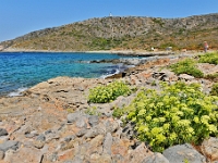D3X 1843 ji ji : GRC, Griechenland, Kythira, Platia Ammos, Strand Agios Nikolaos
