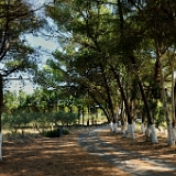 D3X 5239 ji : GRC, Griechenland, Kythira, Moni Agion Theodoron, Potamos, nähe Hospital