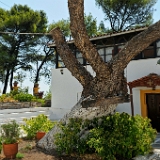 D3X 5284 ji : GRC, Griechenland, Kythira, Moni Agion Theodoron, Potamos, nähe Hospital
