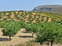 D3X 3153 ji : GRC, Griechenland, Kythira, Landstrasse Fratsia - Palaiopoli