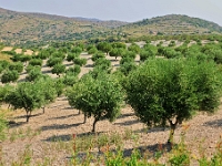 D3X 3157 ji : GRC, Griechenland, Kythira, Landstrasse Fratsia - Palaiopoli