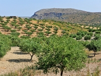 D3X 3158 ji : GRC, Griechenland, Kythira, Landstrasse Fratsia - Palaiopoli