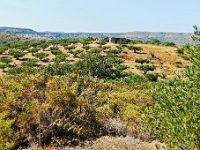 D3X 5202 ji : GRC, Griechenland, Kythira, Paleopoli, Straße Fratsia - Palaiopoli