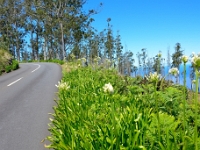 madeira 0140 : Portugal, PRT